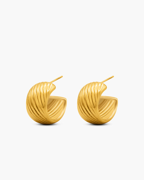 A pair of hoop earrings against a white background